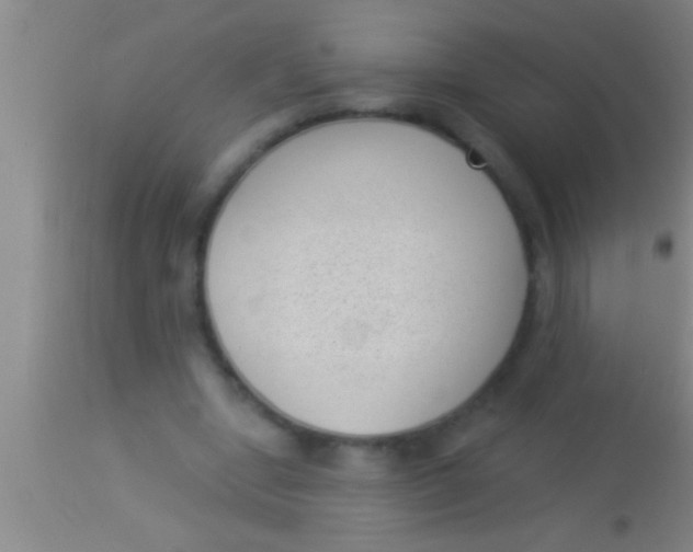 X0000113940442200910161919