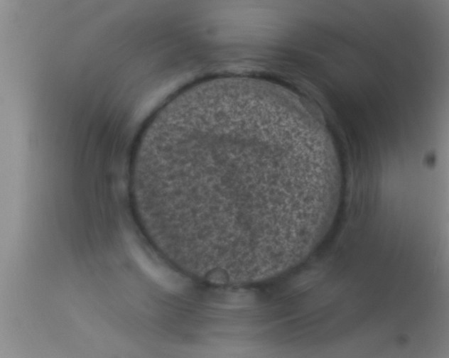 X0000113940443200910161919