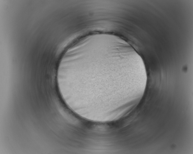 X0000113940446200910161919