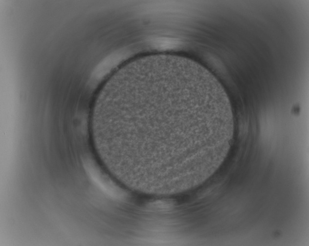 X0000113940447200910161919