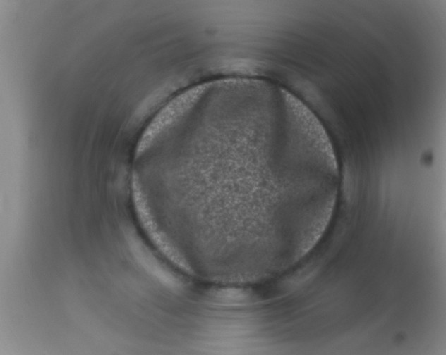 X0000113940449200910161919