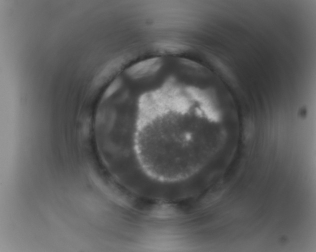 X0000113940451200910161919