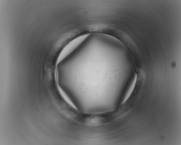X0000113940452200910161919