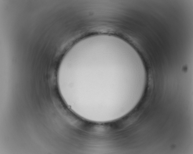 X0000113940453200910161919