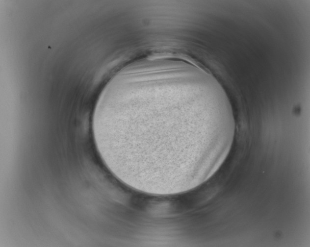 X0000113940454200910161919