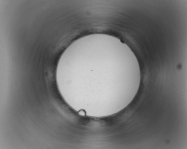 X0000113940455200910161919