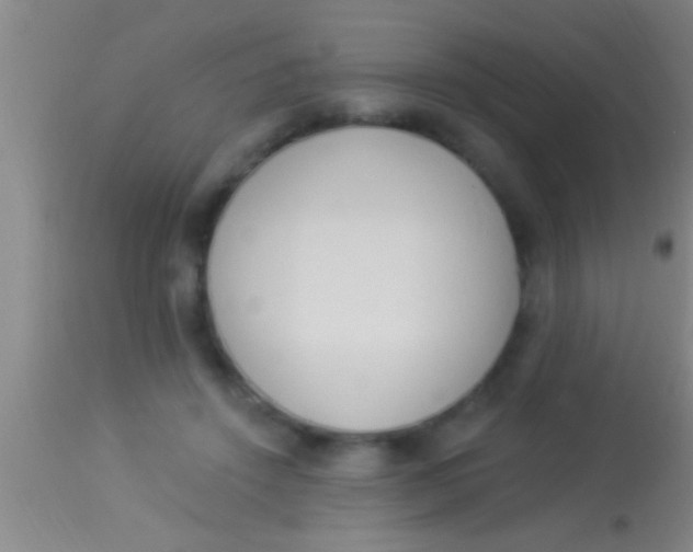 X0000113940456200910161919