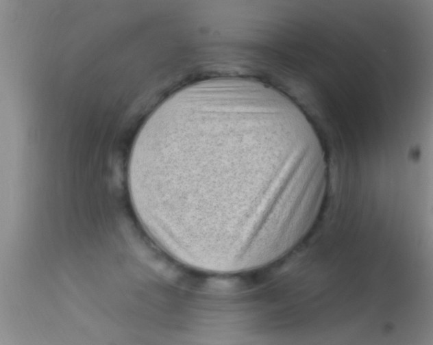 X0000113940457200910161919