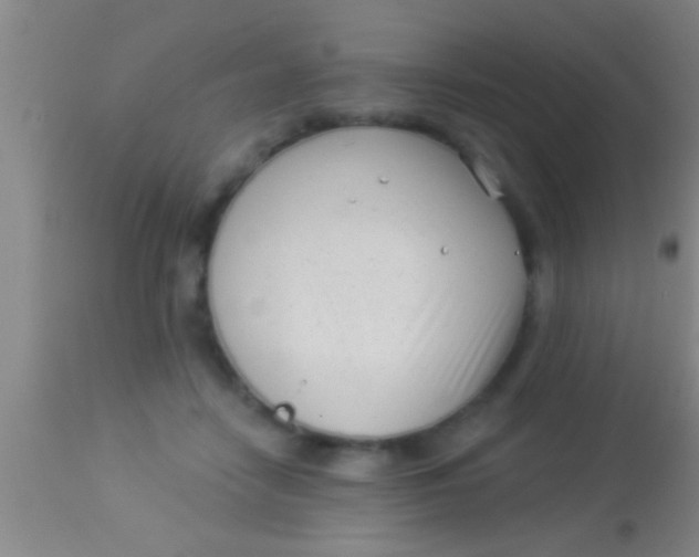X0000113940458200910161919