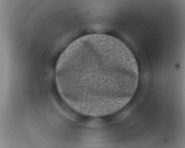 X0000113940459200910161919