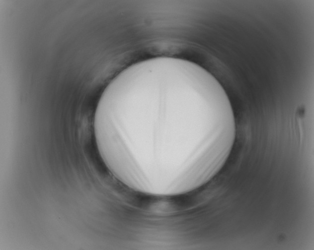 X0000113940460200910161919