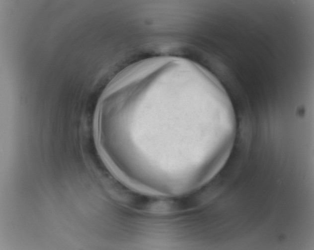 X0000113940461200910161919