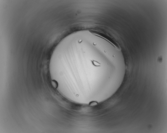 X0000113940462200910161919