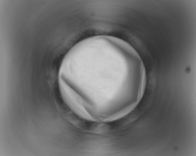 X0000113940463200910161919