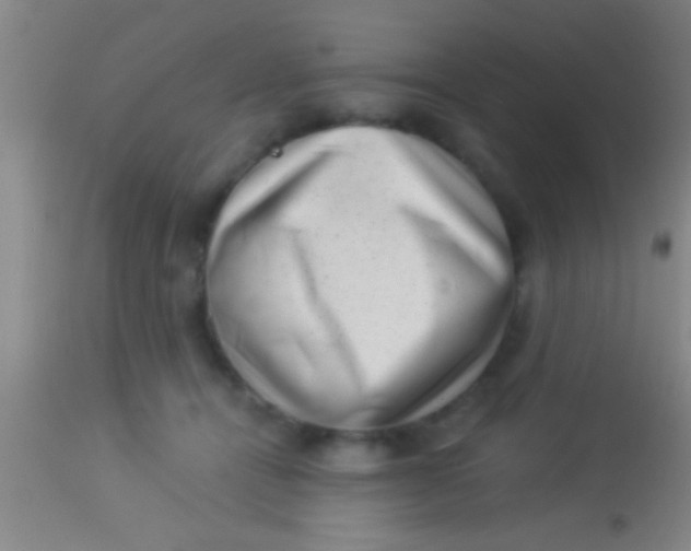 X0000113940464200910161919