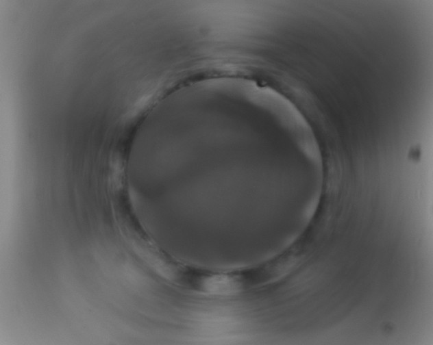 X0000113940465200910161919