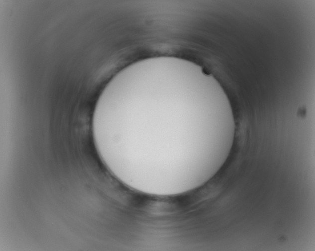 X0000113940466200910161919