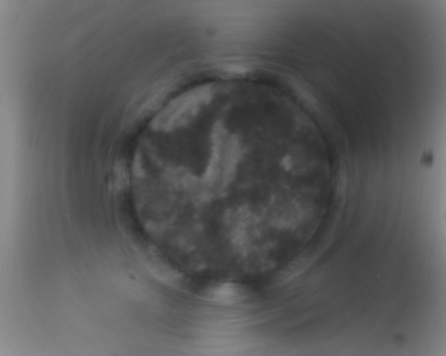 X0000113940467200910161919