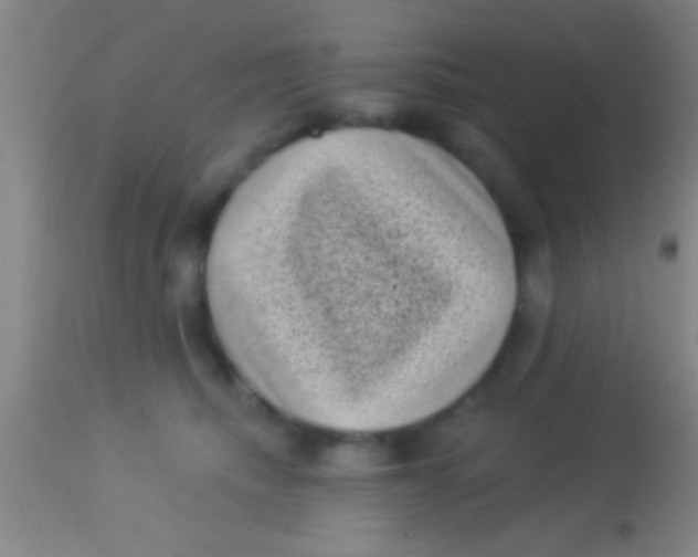 X0000113940468200910161919