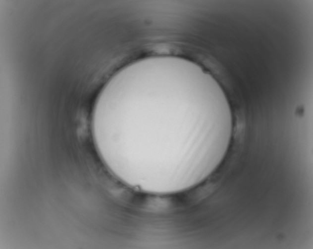 X0000113940469200910161919