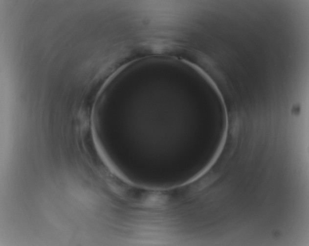 X0000113940471200910161919