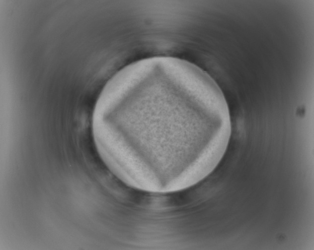 X0000113940472200910161919
