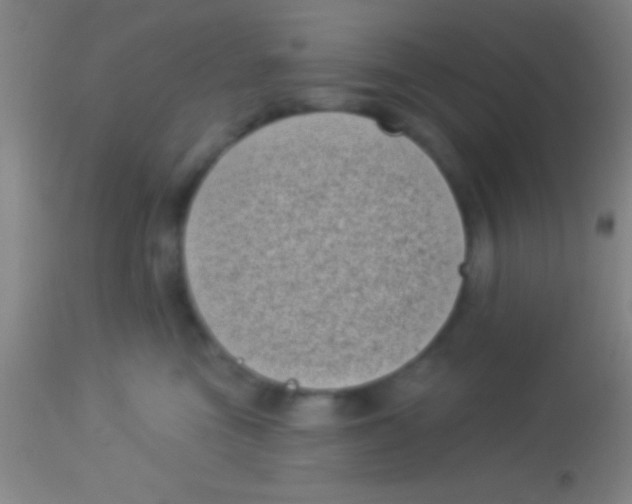 X0000113940473200910161919
