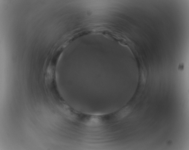 X0000113940475200910161919