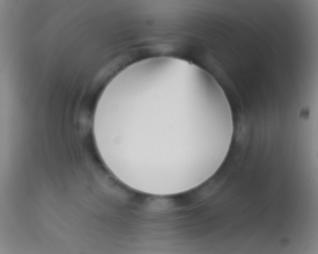 X0000113940476200910161919