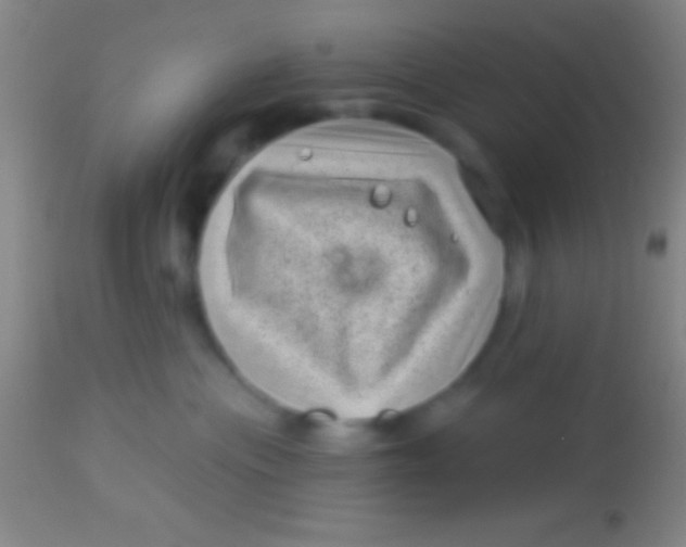 X0000113940477200910161919