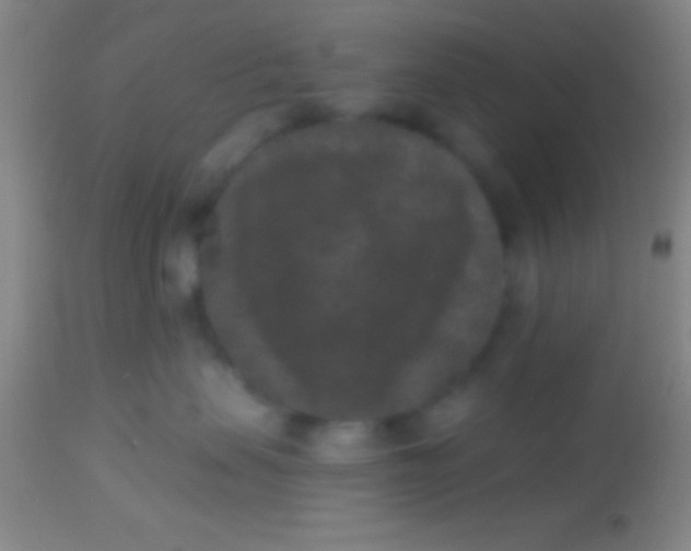 X0000113940479200910161919