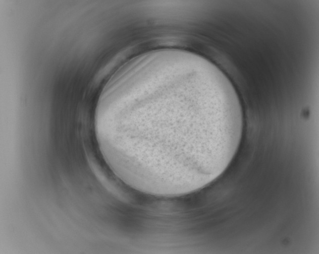 X0000113940482200910161919