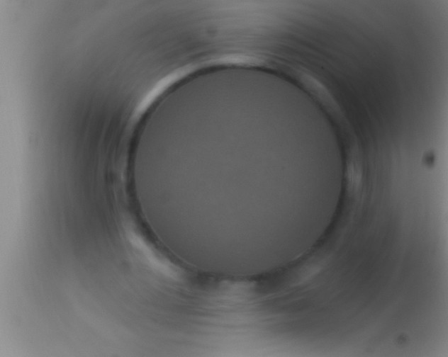 X0000113940484200910161919