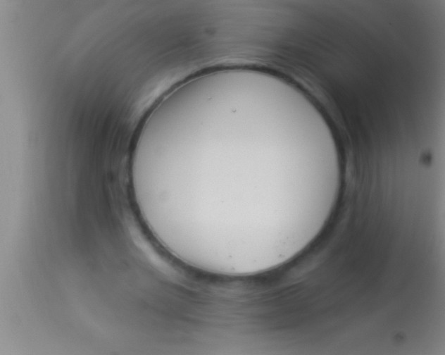 X0000113940485200910161919