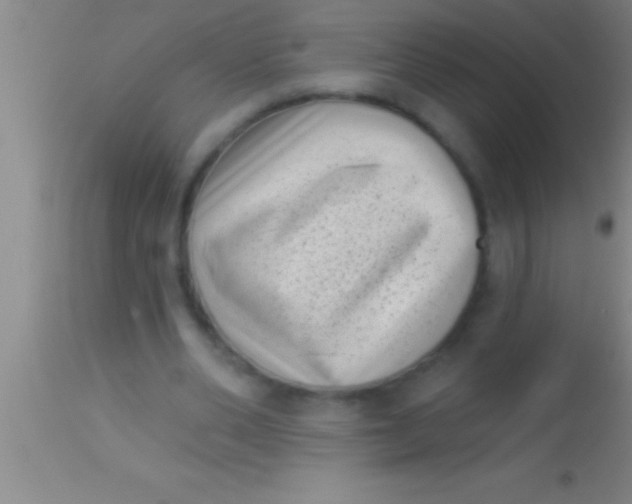 X0000113940486200910161919