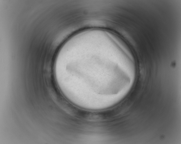 X0000113940487200910161918
