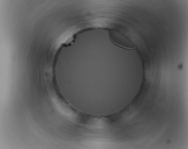 X0000113940488200910161918