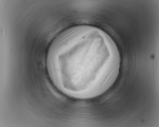 X0000113940489200910161918