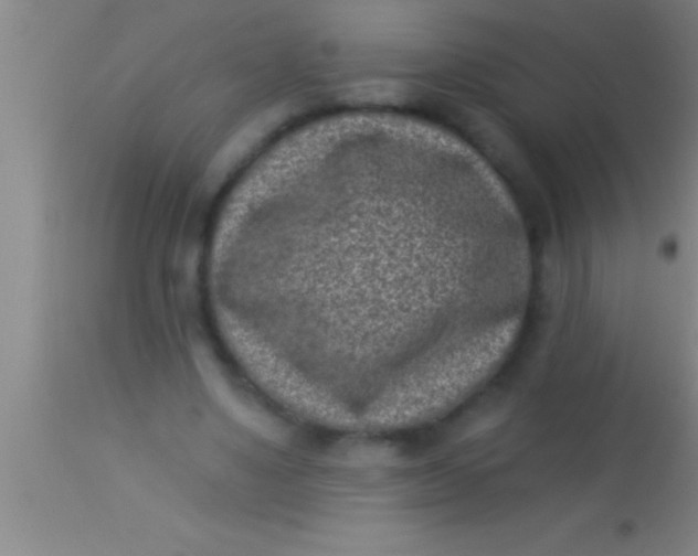 X0000113940491200910161918