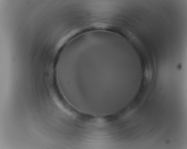 X0000113940492200910161918