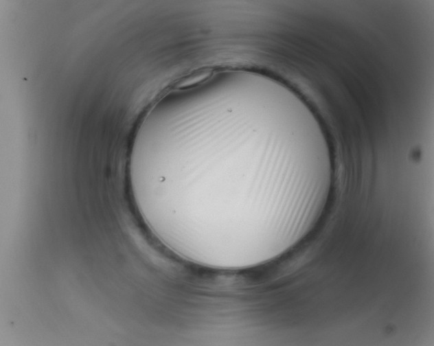 X0000113940493200910161918