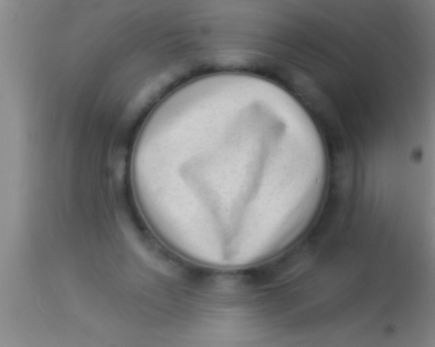 X0000113940495200910161918