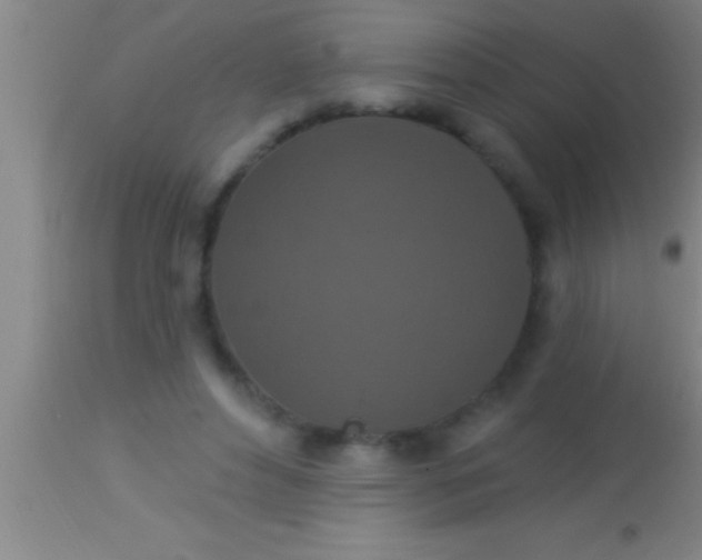 X0000113940496200910161918