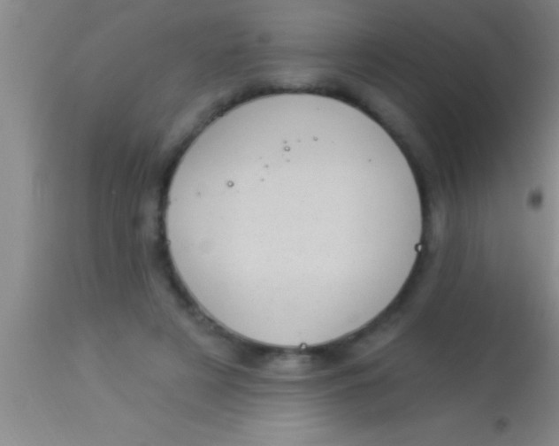 X0000113940497200910161918