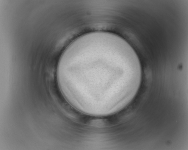 X0000113940499200910161918
