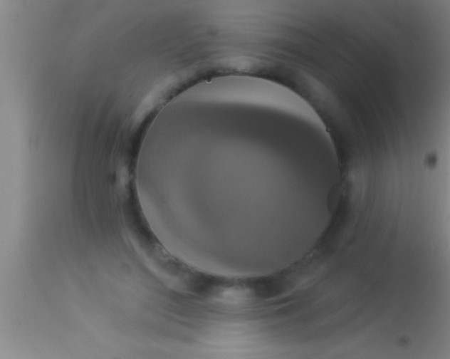 X0000113940500200910161918