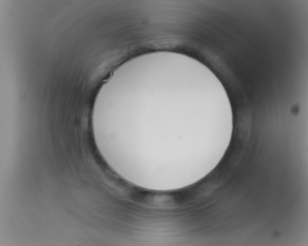 X0000113940501200910161918
