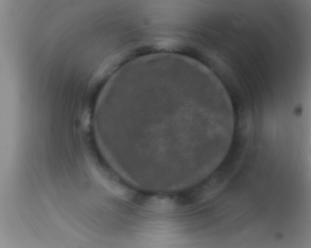 X0000113940502200910161918