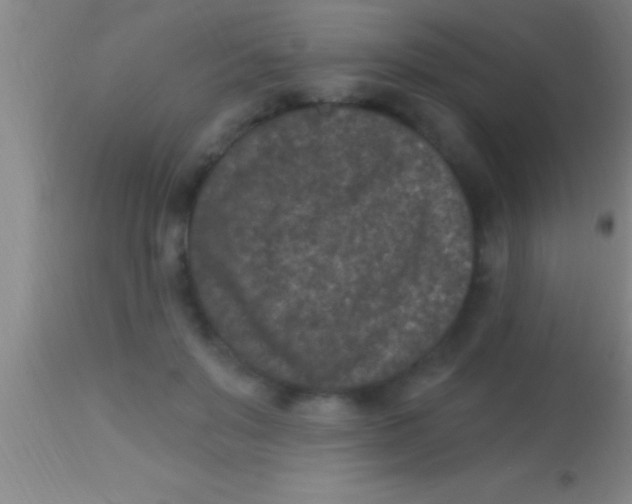 X0000113940503200910161918