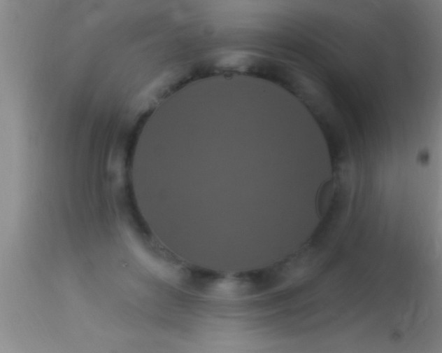 X0000113940504200910161918